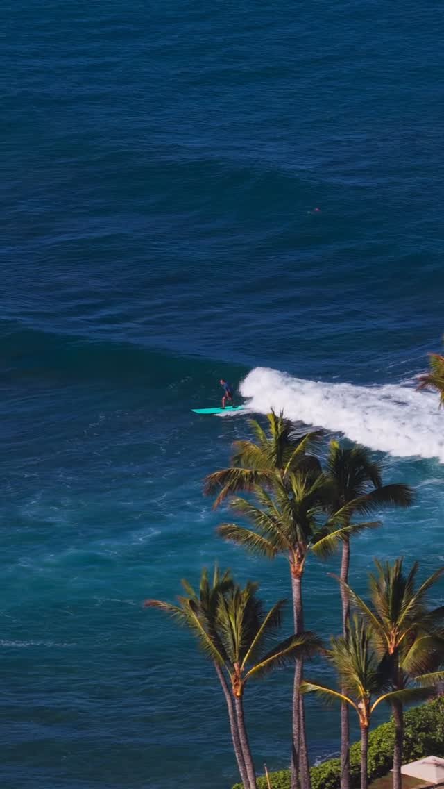 jamieobriensurfexperience 게시물 이미지: The perfect wave is waiting for you 🏄‍♂️ 🏄‍♀️...