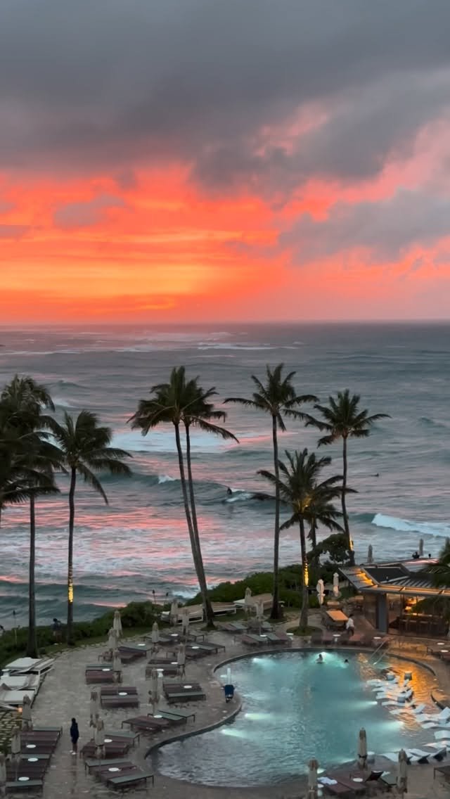 jamieobriensurfexperience 게시물 이미지: Picture perfect day at Turtle Bay...