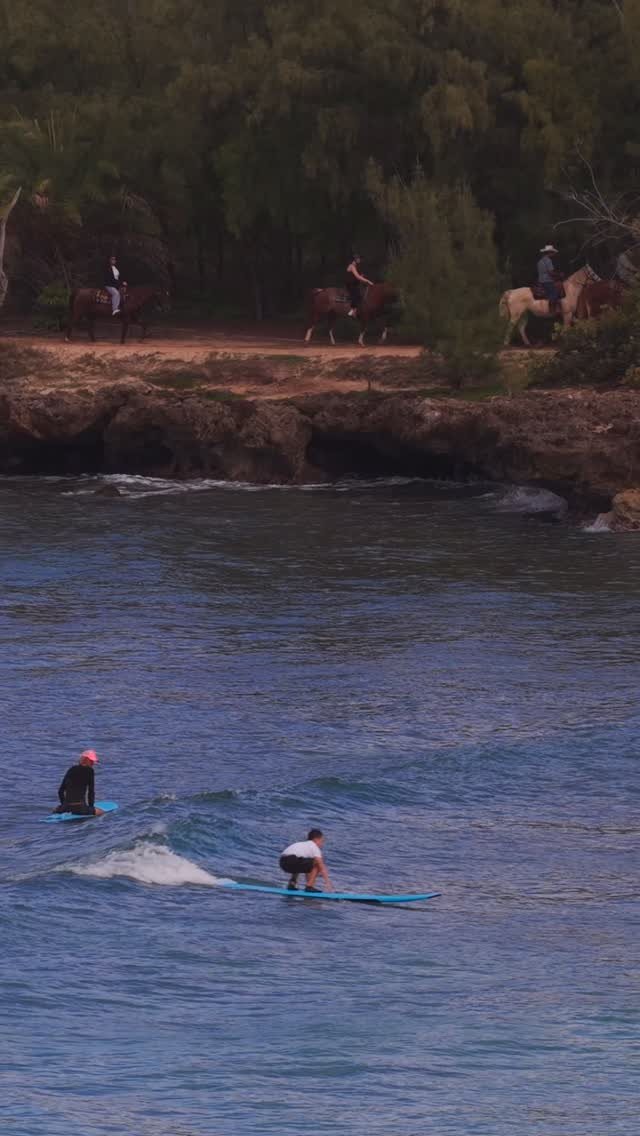 jamieobriensurfexperience 게시물 이미지: Life’s better surfing in Hawaii #surflessons...