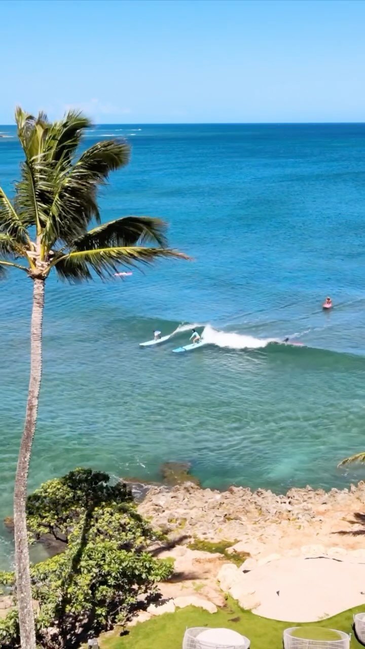 jamieobriensurfexperience 게시물 이미지: Surfing paradise! 🏄‍♂️ join us for a lesson on...