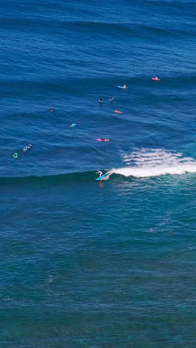 jamieobriensurfexperience 게시물 이미지: Learn to surf in paradise 🏄‍♂️🏄‍♀️...