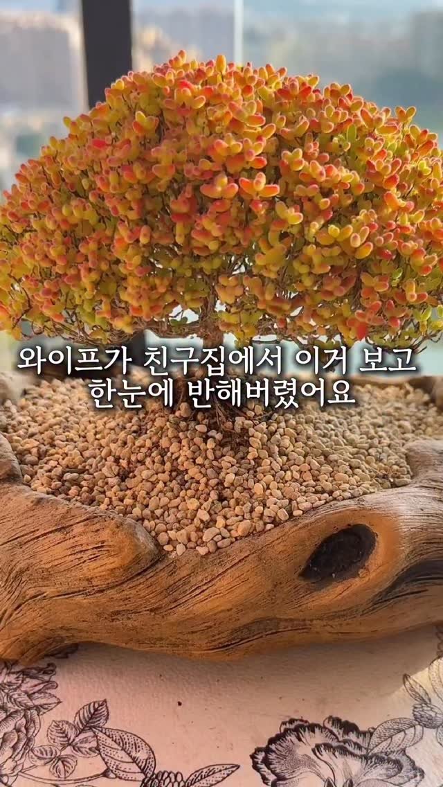 jamjam_at_home 게시물 이미지: 친구 집 갔다가 와이프가 한눈에 반했어요😅

🌿 댓글에 ’선물‘ 남기시면 DM...