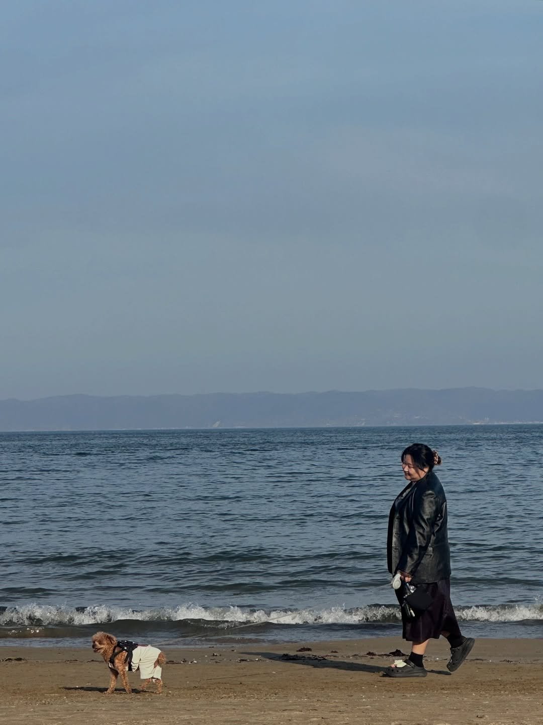 Photo by 잼니 on April 13, 2026. May be an image of ocean, beach, coast and text.