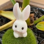 roserabbit22 프로필 사진
