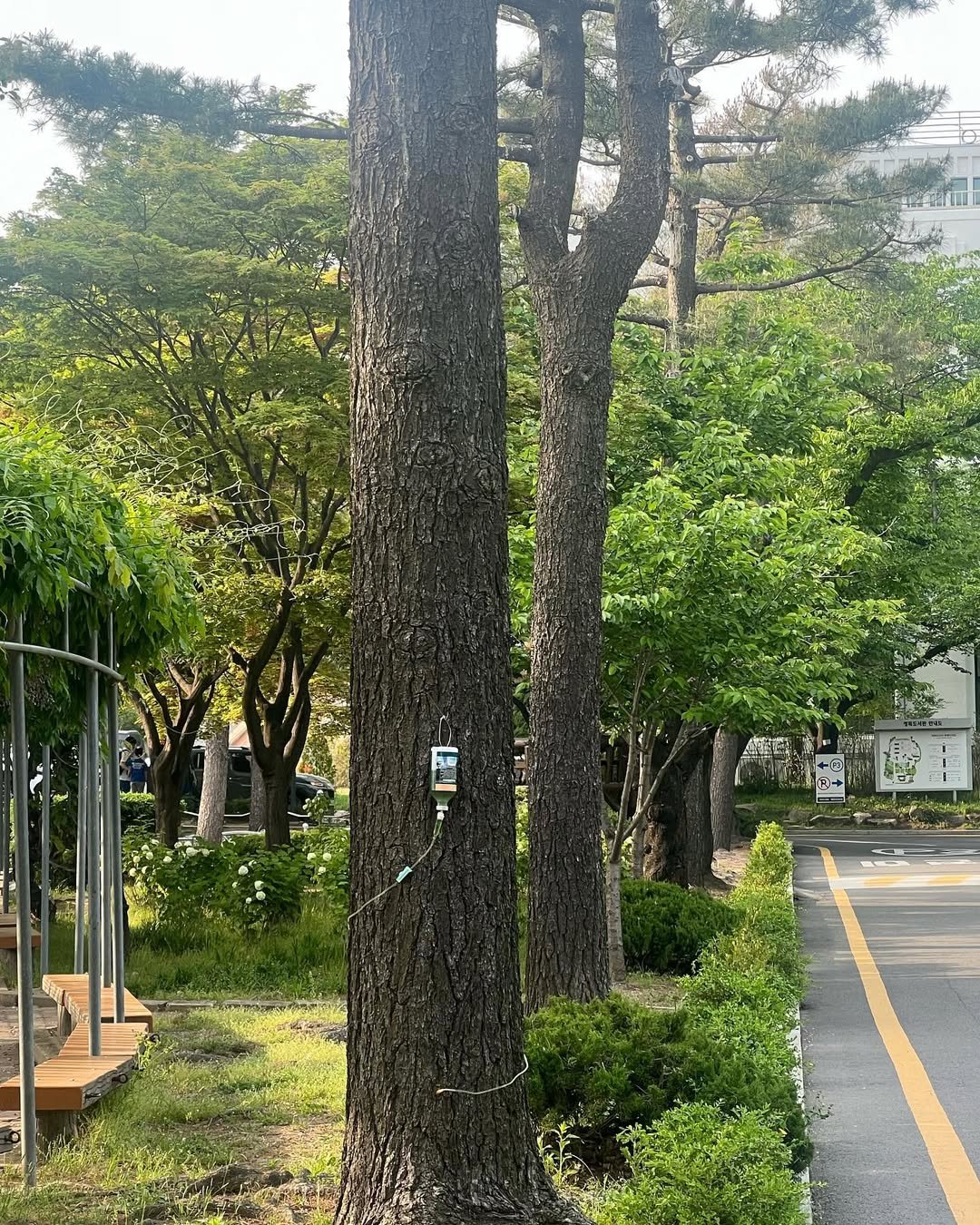 Photo by 장도연 on April 28, 2024.