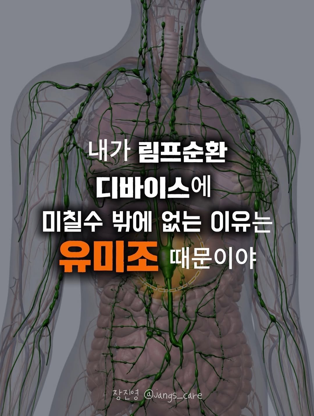 jangs_care 게시물 이미지: .

제가 왜 림프순환 디바이스에 진심인지 아세요? 😊

바로, 유미조라는 곳...