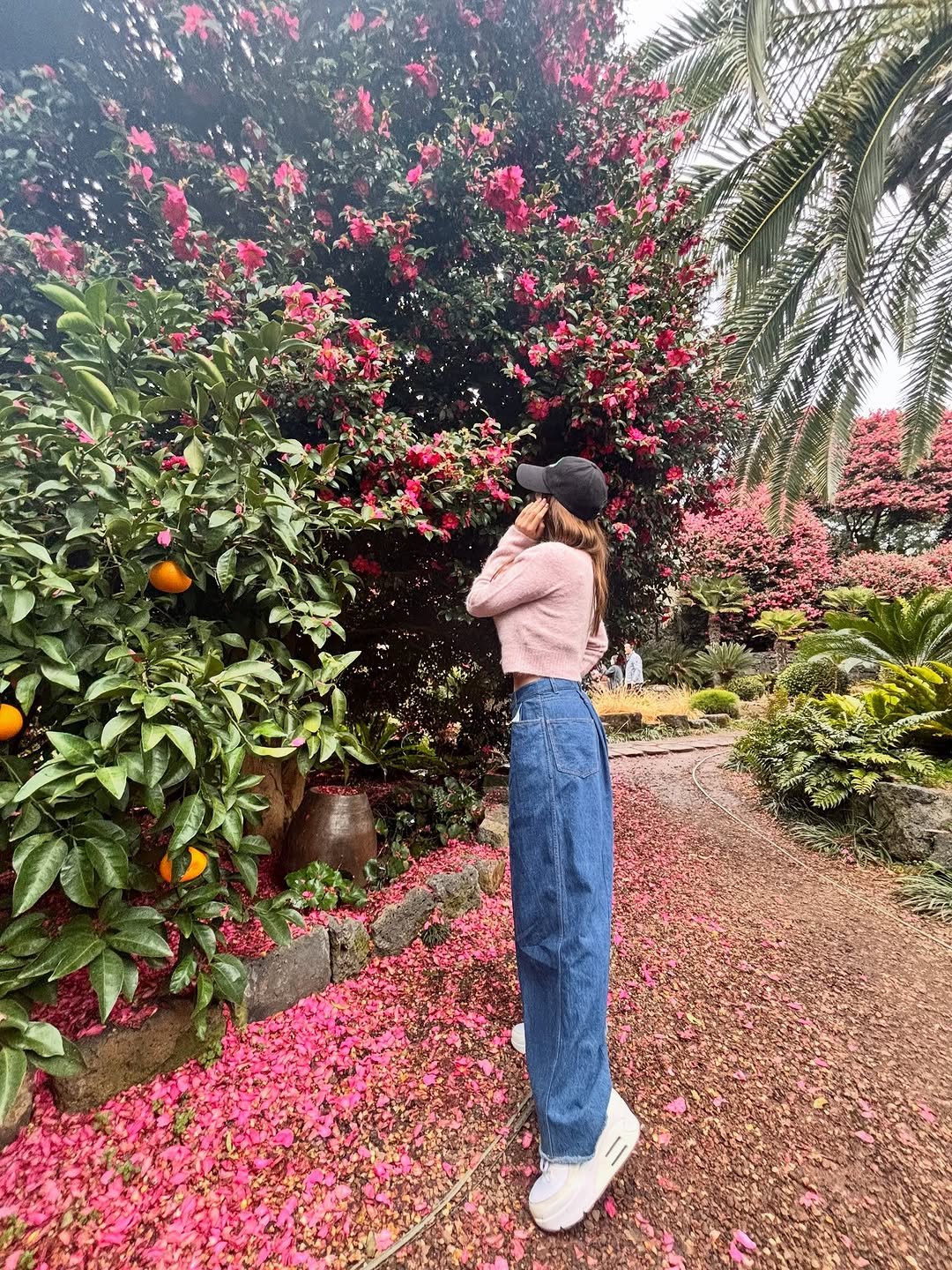 Photo by 방송인 유튜버 사업가💖장영란입니다. on February 14, 2026. May be an image of rose and text.