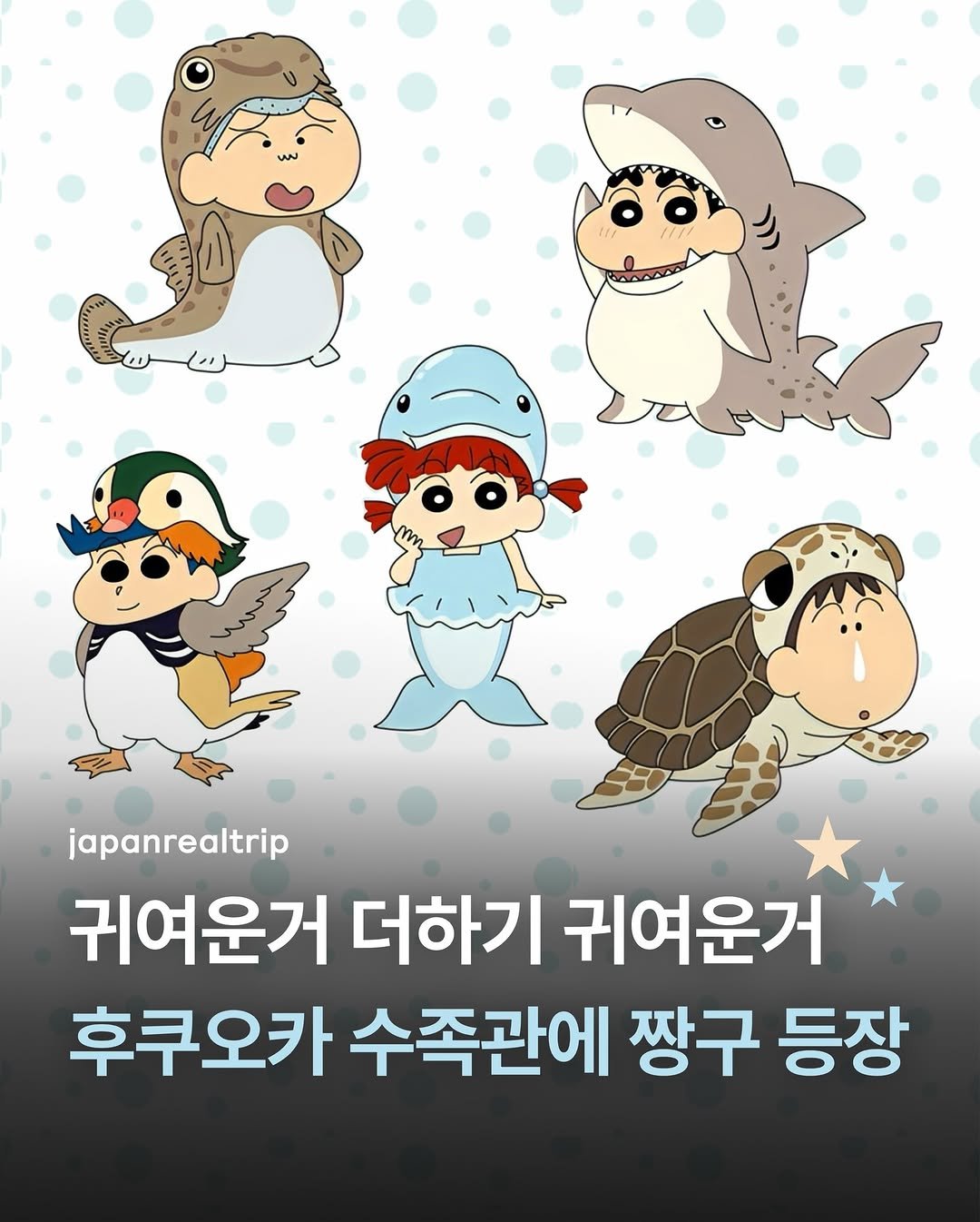 Photo shared by 재팬리얼트립✈️ | 일본여행 커뮤니티🗼 on December 29, 2025 tagging @myrealtrip_kids. May be a doodle of turtle, seal, penguin and text that says 'WN japanrealtrip 귀여운거 더하기 귀여운거 후쿠오카 수족관에 짱구 등장'.