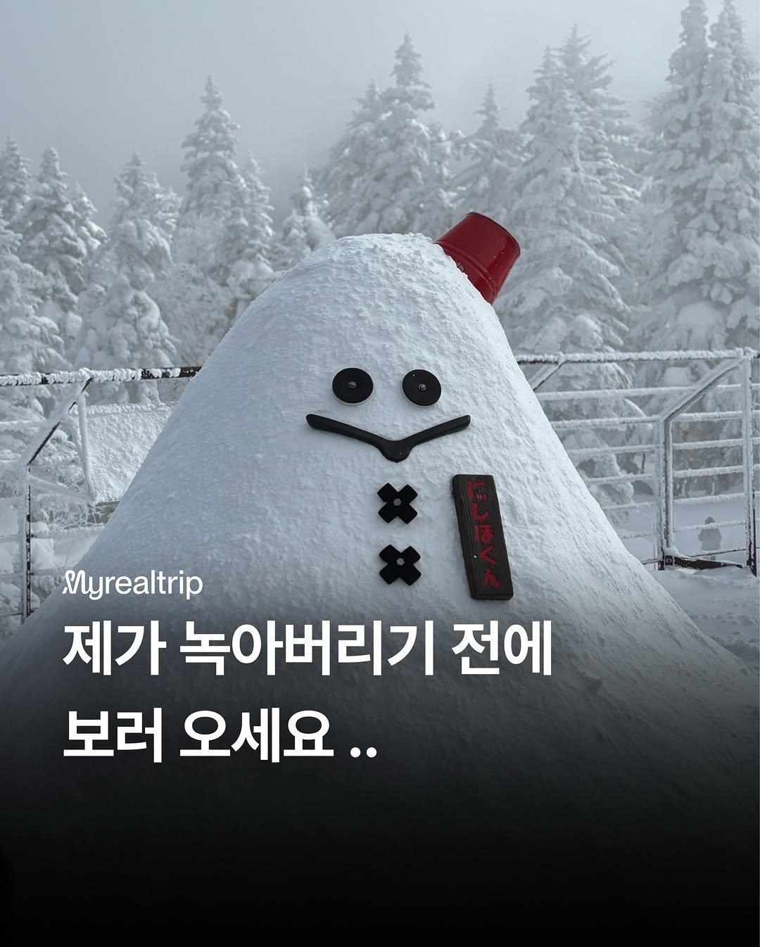 Photo shared by 마이리얼트립 on December 24, 2025 tagging @japan_realtrip. May be an image of text that says '제가녹아버리기전에 Myrealtrip 제가 녹아버리기 전에 보러 오세요..'.
