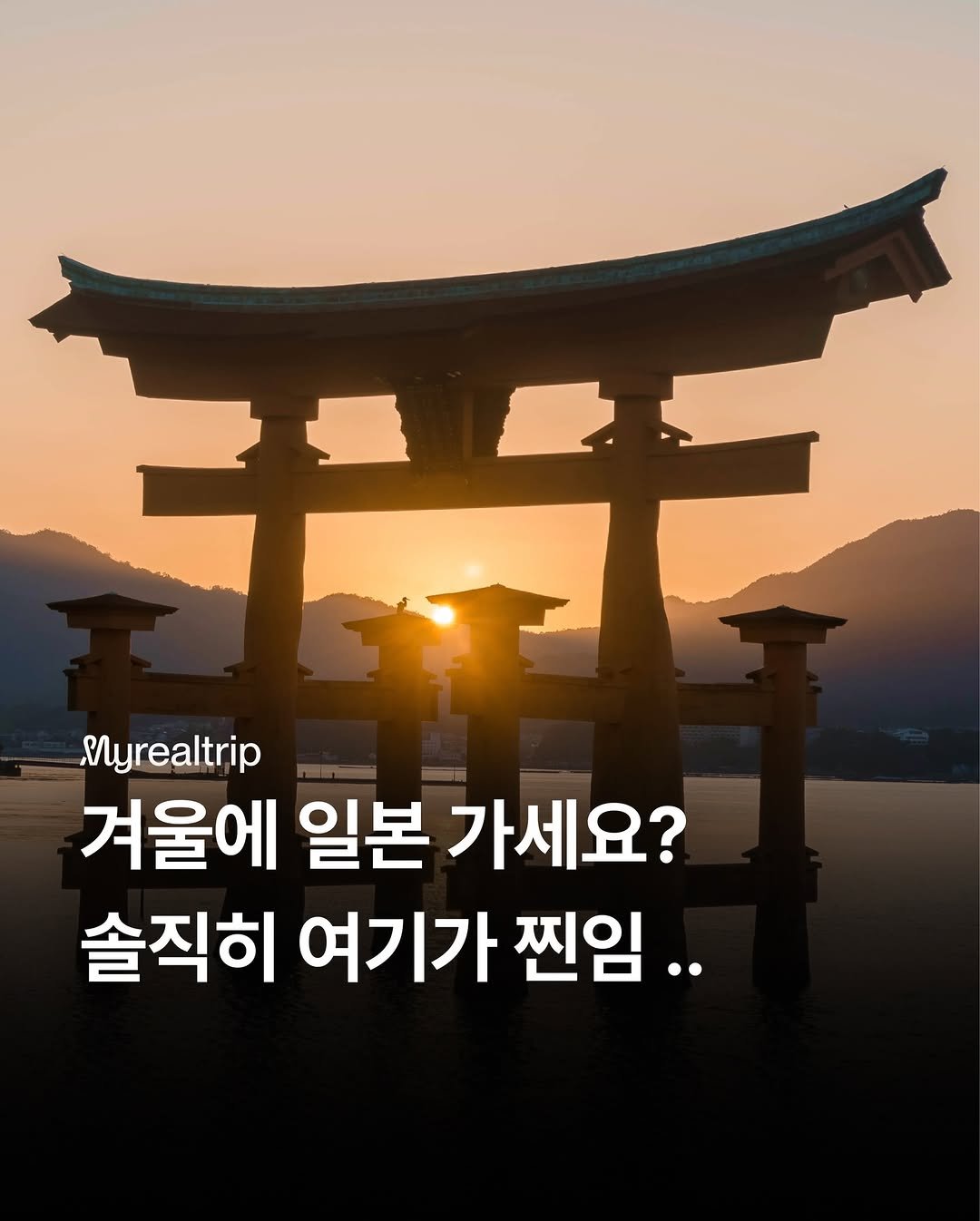 Photo shared by 마이리얼트립 on December 29, 2025 tagging @myrealtrip_kids, and @japan_realtrip. May be an image of text that says '千 Myrealtrip 겨울에 일본 가세요? 솔직히 여기가 찐임..'.