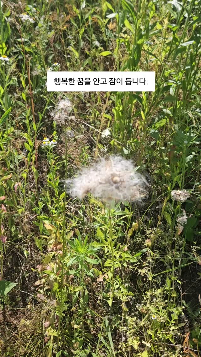 jasanghansigan 게시물 이미지: #자상한시간 #자상한생각

🥰

안녕하세요.
행복한 생각을 많이 하며 살고 싶은...