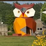 book_vill 프로필 사진