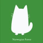 norw.egian_book 프로필 사진