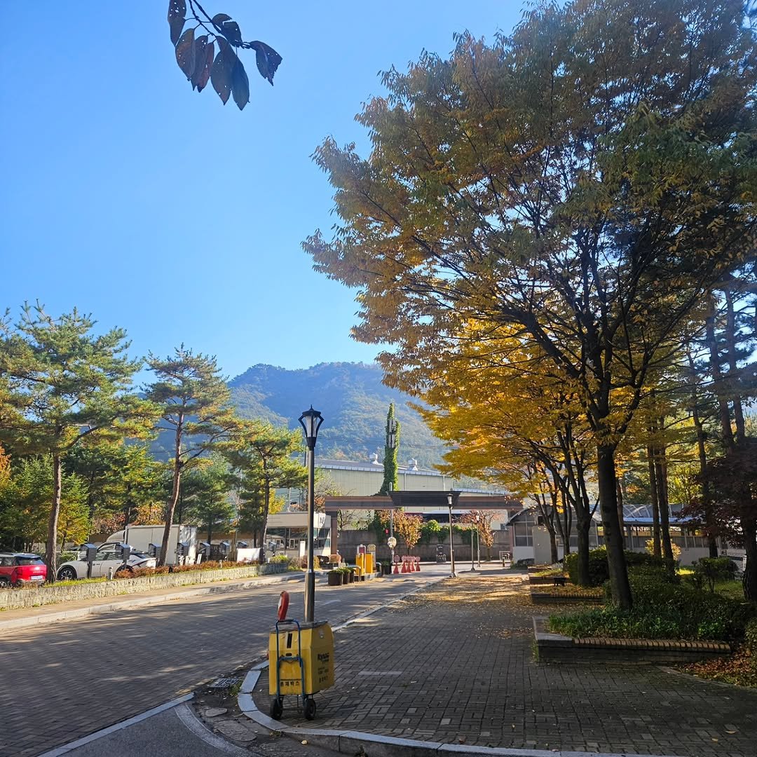 Photo by 자상한시간 in Seoul, Korea with @gahu77. May be an image of street, road and text.