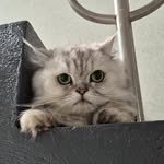 englishdoctor.kim 프로필 사진