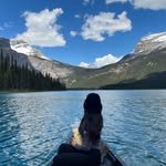 dailydamidays 프로필 사진