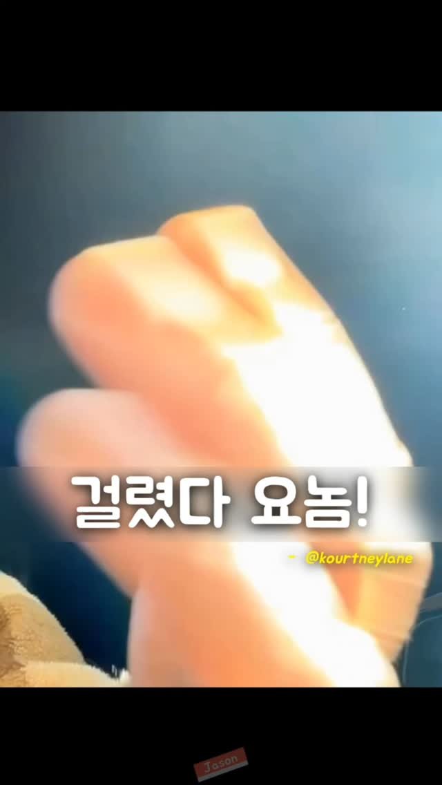 jason_hsj 게시물 이미지: 걸렸다 요놈! - @kourtneylane

Hello?

Hi. Is this...