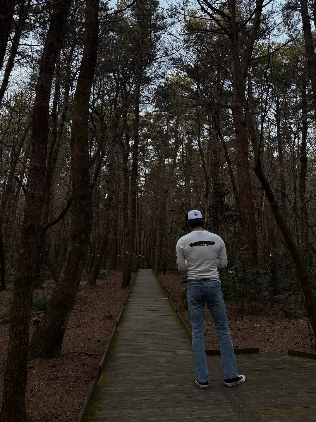 Photo by 정준영사진첩 on February 22, 2026. May be an image of road, tree, park and text.