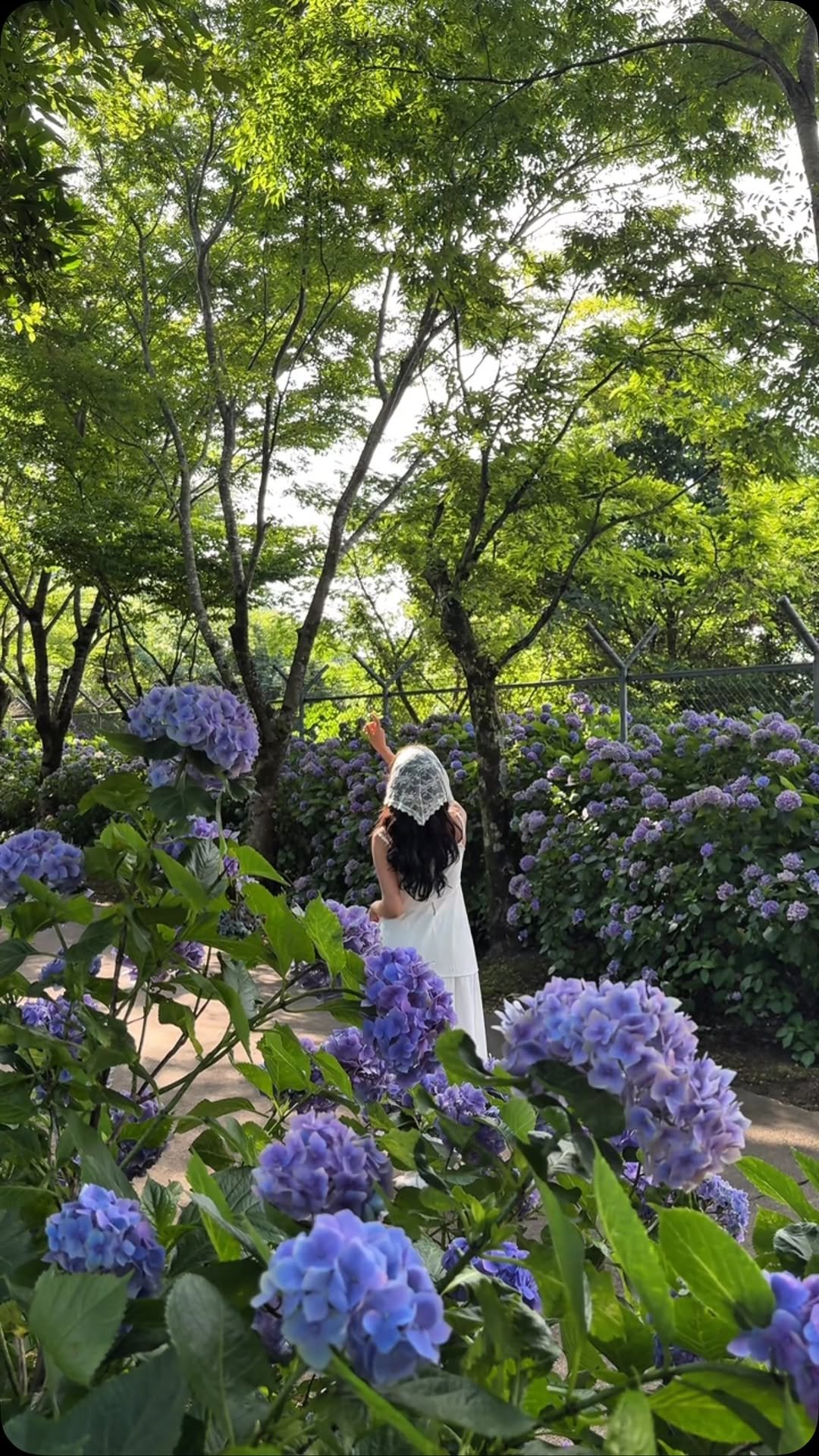 jay_secondworld 게시물 이미지: #실시간제주 여행 온 지인이 가장 만족했던 곳

사실 7월 초중순에 수국소식이...
