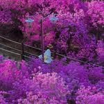 lovyeun 프로필 사진