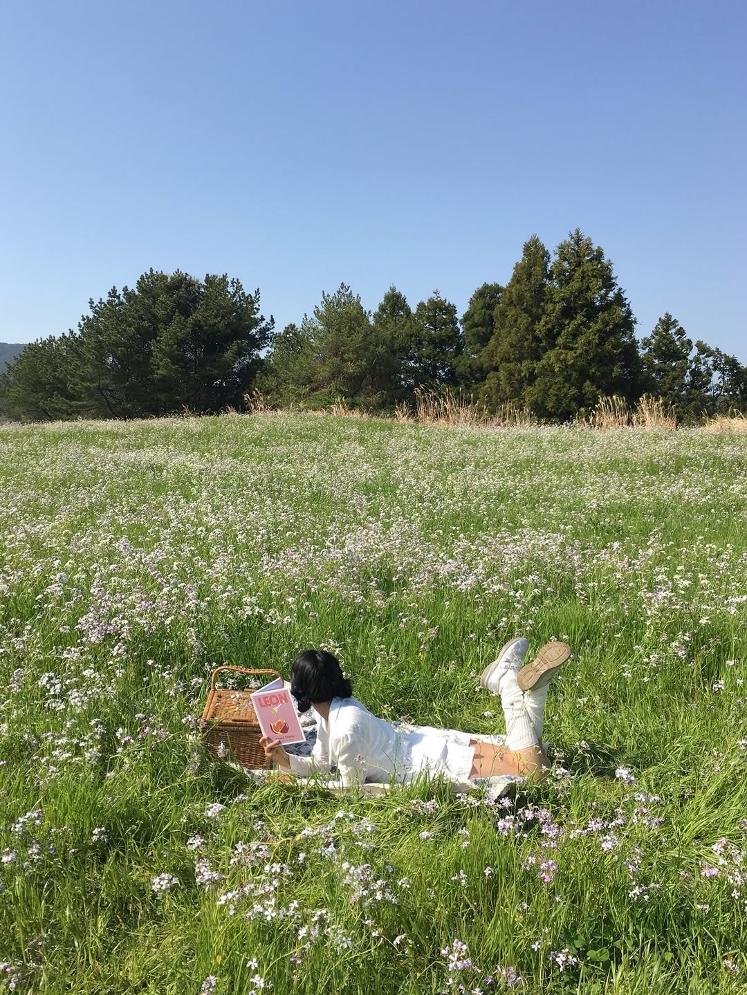 Photo by 여행자 Jay | 제2의 세상 on April 26, 2026. May be an image of scorpion grass, grass and text.