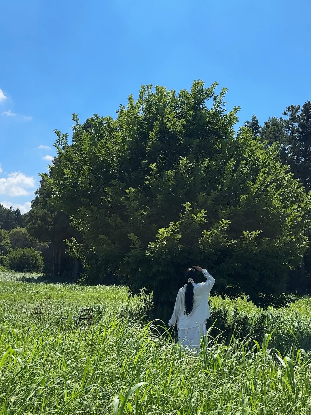 Photo by 여행자 Jay | 제2의 세상 on September 18, 2025. May be an image of grass and text.