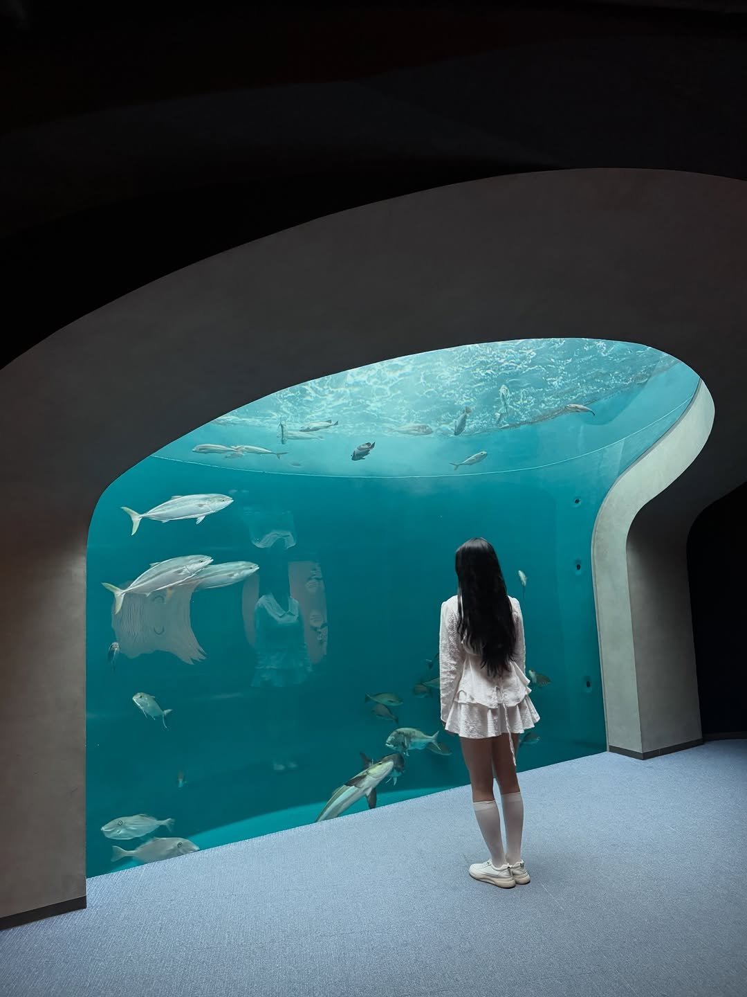 Photo by 여행자 Jay | 제2의 세상 on April 14, 2026. May be an image of whale shark, aquarium and text.