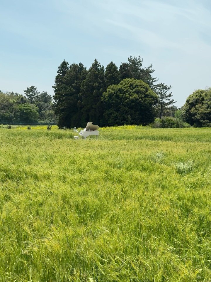 jay_secondworld 게시물 이미지: 제주 4년차 이주민, 영원히 기억하고 싶은 곳 🌿 

영원히 기억 속에 영화같은...