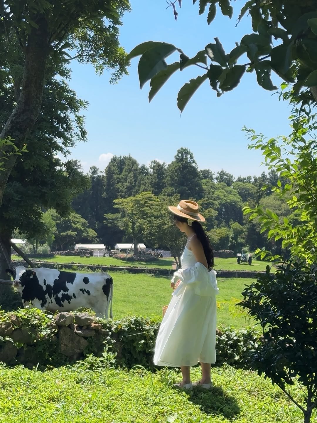 Photo by 여행자 Jay | 제2의 세상 on September 25, 2025. May be an image of 1 person, parasol, grass and text.