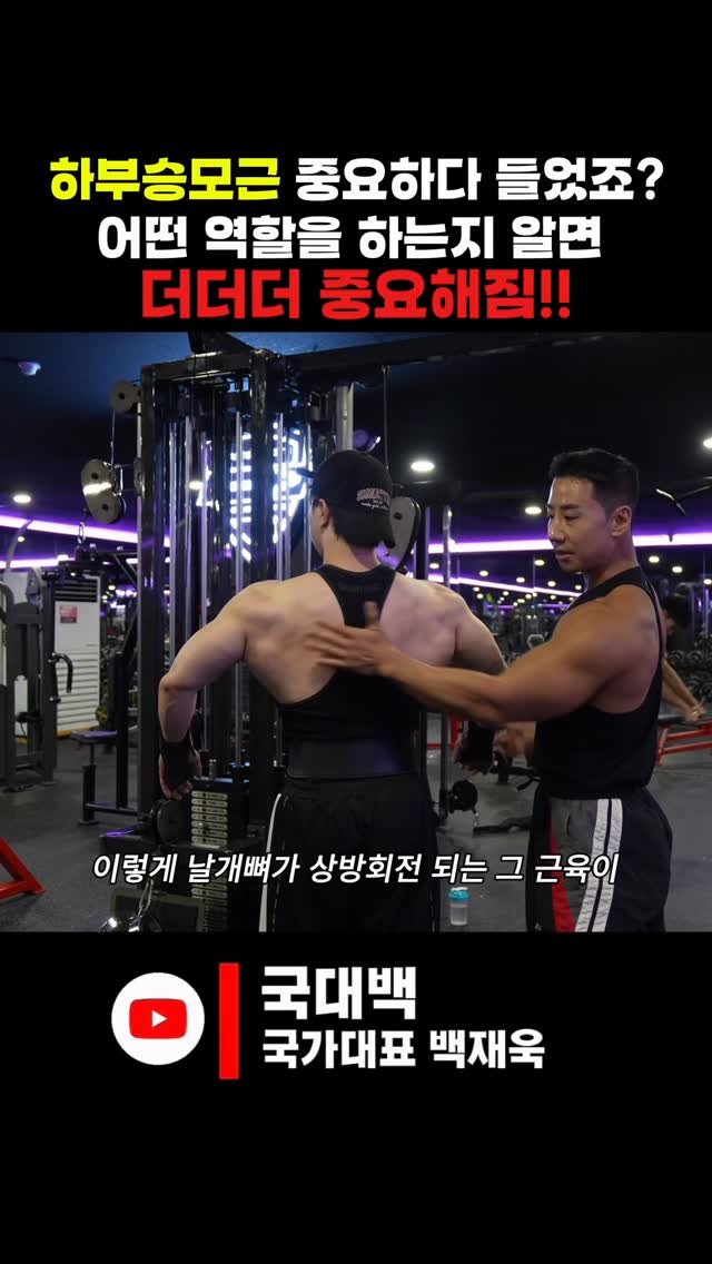 jaybaek_builder 게시물 이미지: #하부승모근
중요하다 얘기는 많이 들었는데 
왜? 중요한지는 모르실 수...