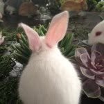 gaoyuanyuan_gyy 프로필 사진