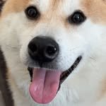 ele_yan_0617 프로필 사진