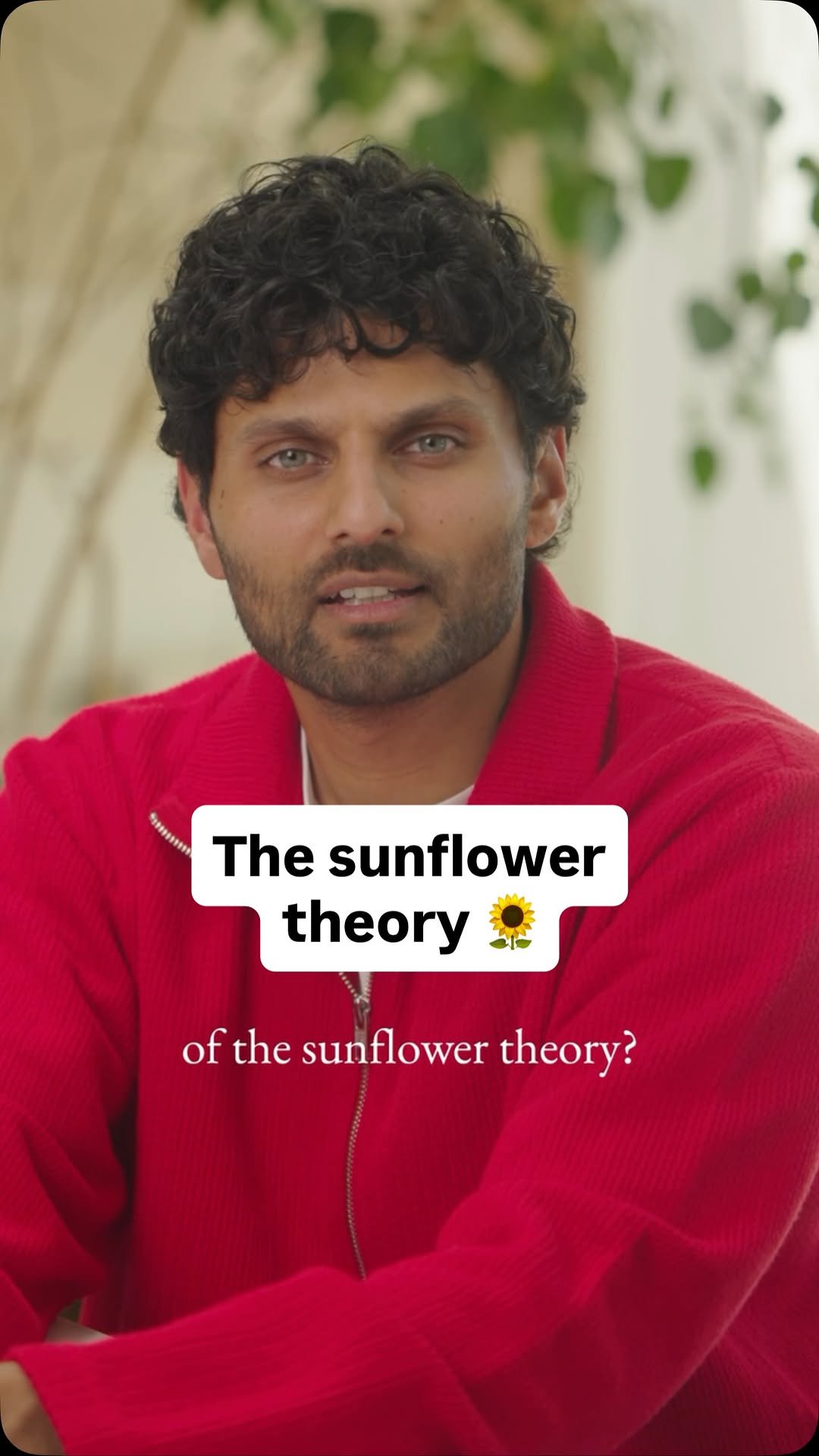 jayshetty 게시물 이미지: When you gives someone sunflowers, you’re...