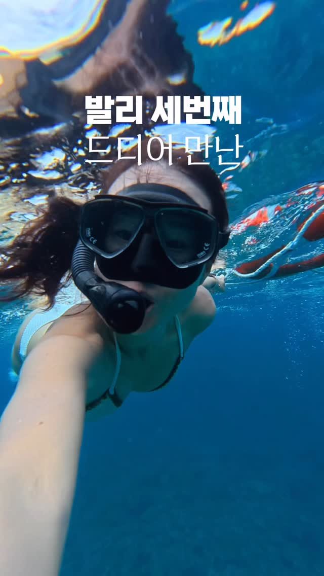 jayway_flow 게시물 이미지: 누사페니다 스노클링 ‘배 이름‘ 기억해야 하는 이유, 알고 계셨나요?

일단 저는...