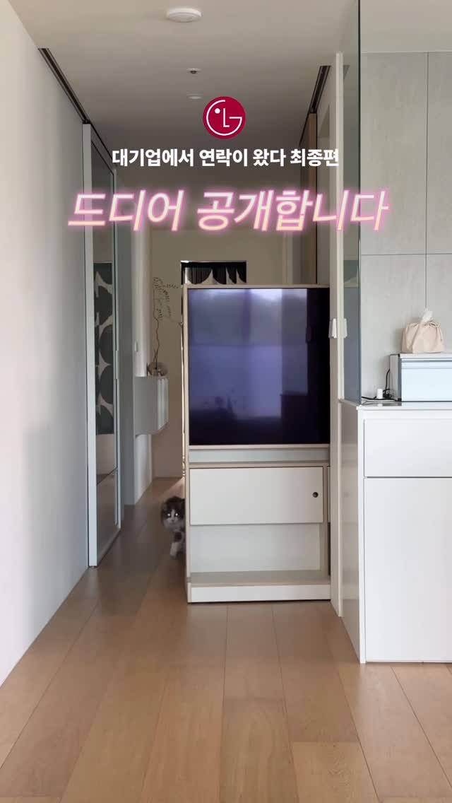 jdhomedressing 게시물 이미지: 여러분 드디어 공개합니다!!
작년 11월, 김사장님 등땀 터졌던
대기업과의 미팅...
