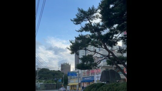 je.lovlee_tr 게시물 이미지: 24년 7월,
진월동에 혜성같이 나타난 투투짐💚
운동은 투투짐_S2_
편하게...