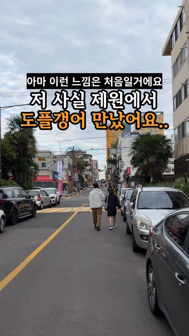 je_ju_man 게시물 이미지: 📍 저 사실 도플갱어 만났어요..

제주시 제원에서 유명한 평화시장인데

신메뉴로...