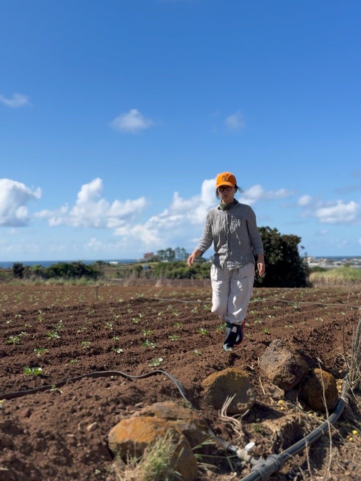 jeju_momsfarm 게시물 이미지: 요즘 제주는
소나기가 퍼붓다 멈추기를 여러 번 반복한다.

갑작스레 하얗게...