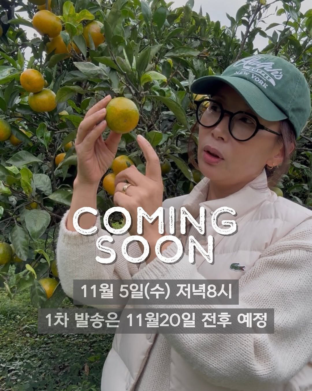 Photo by 제주맘스팜_이은미 on November 04, 2025. May be an image of text that says 'NW COPPE ប្ាក្មមម YORK YOP hs COMING SOON 11월 5일(수) 저녁8시 1차 발송은 11월20일 전후 예정'.