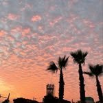 doledamiuda_pension 프로필 사진