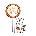 jeju_cafe_gyuldangri 프로필 사진