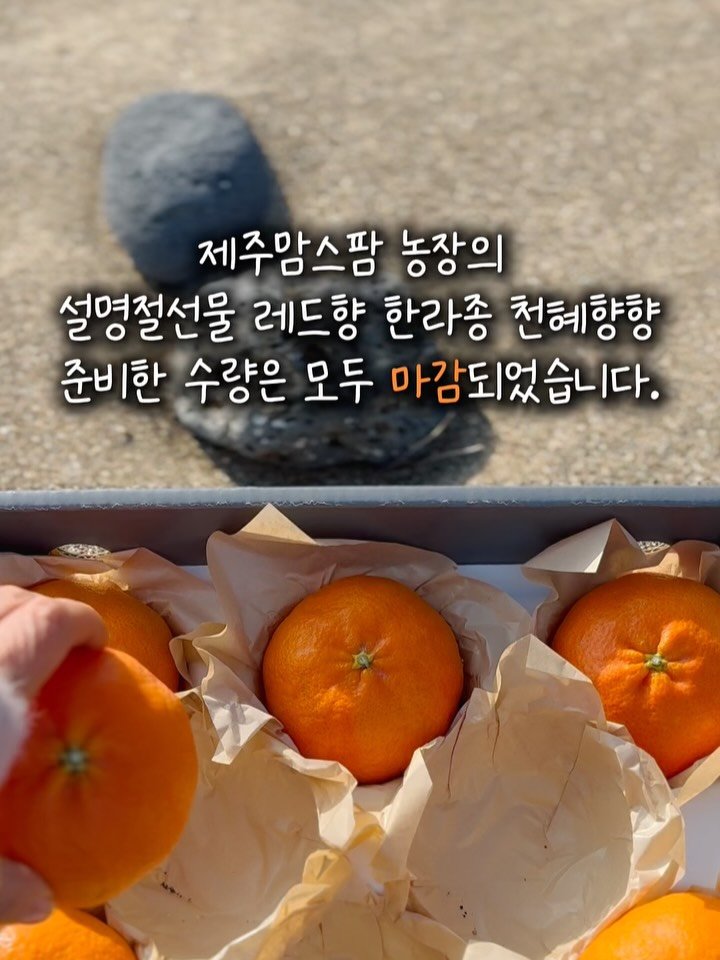 jeju_momsfarm 게시물 이미지: 어느덧 
설 명절이 코앞으로 다가왔습니다.

올해도 변함없이 
제주맘스팜 농장의...