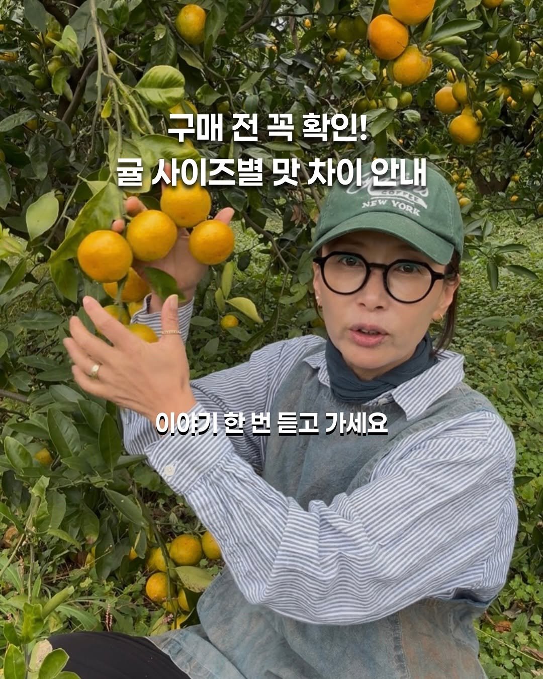 Photo by 제주맘스팜_이은미 on November 04, 2025. May be an image of text that says '구매 전 구매전꼭 꼭 확인! 굴 사이즈별 맛 차이 사이즈별맛차이안나 차이안내 COPY 안내 NEW NEWYORE YORK 이야기한 이아기한번듣고가세요 한번 번 듣고 가세요'.