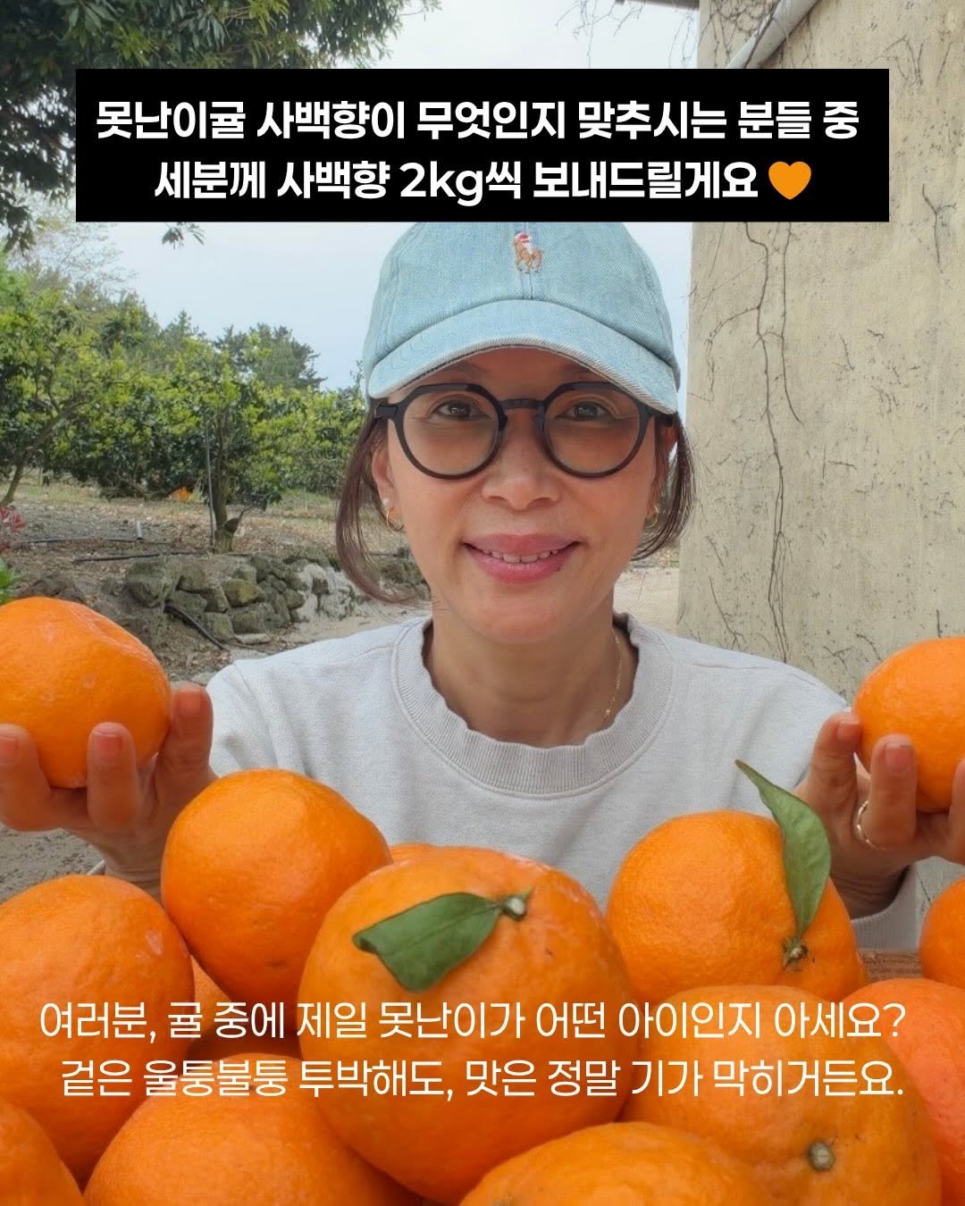 jeju_momsfarm 게시물 이미지: 이름도 맛도 생소했던 사백향을,
그저 여자농부 하나 믿고
덜컥 주문해 주셨던...