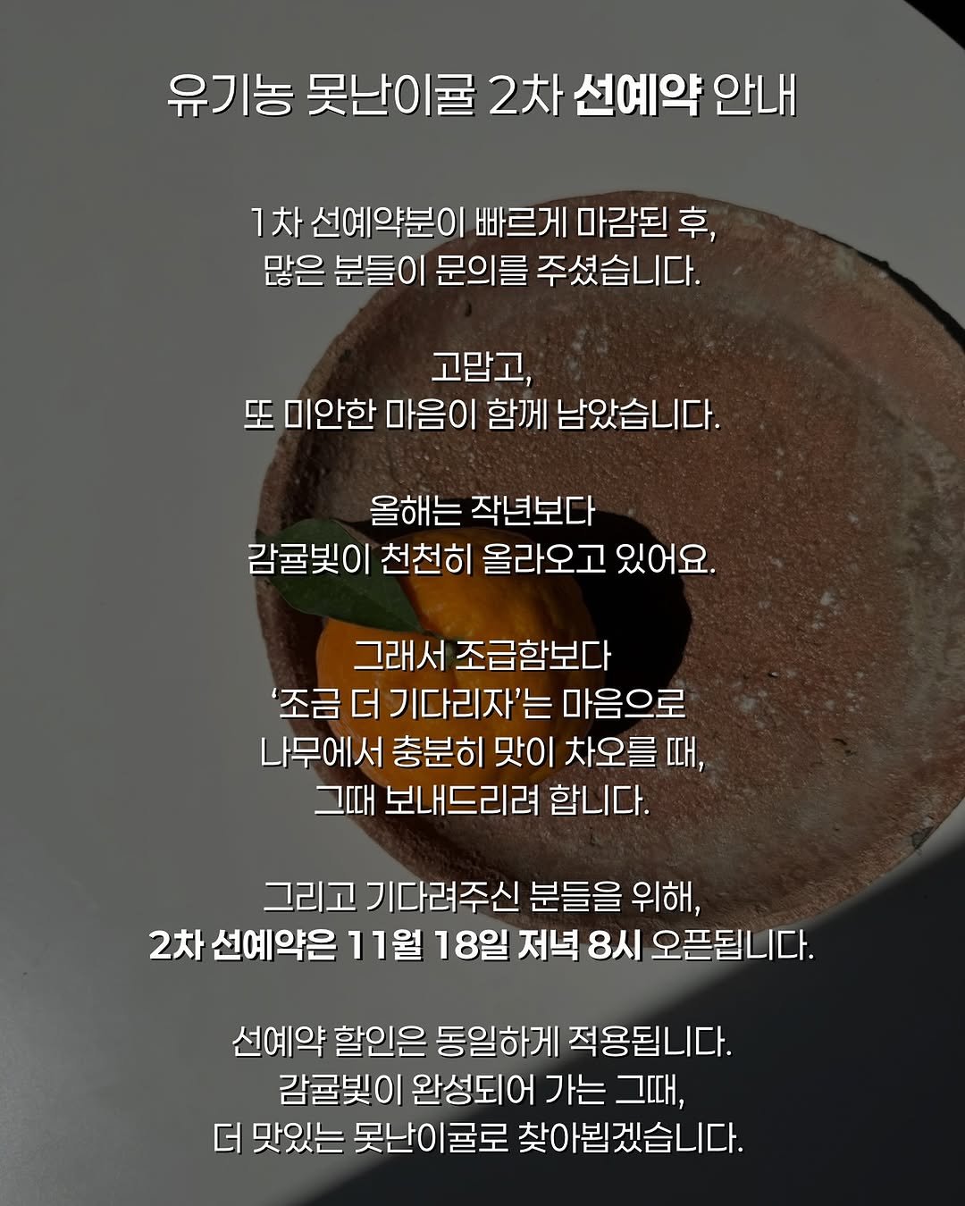 Photo by 제주맘스팜_이은미 on November 12, 2025. May be an image of text that says '유기농 못난이쿨 2차 선예약 안내 1차 선예약분이 빠르게 마감된 후, 많은 분들이 문의를 주셨습니다. 고맙고, 또 미안한 마음이 함께 남았습니다. 올해는 작년보다 감귤빛이 천천히 올라오고 있어요 그래서 조급함보다 '조금 더 기다리자'는 마음으로 나무에서 충분히 맛이 차오를 때, 그때 보내드리려 합니다. 그리고 기다려주신 분들을 위해, 2차 선예약은 11월 18일 저녁 8시 오픈됩니다. 선예약 할인은 동일하게 적용됩니다. 감귤빛이 완성되어 가는 그때, 더 맛있는 못난이굴로 찾아뵙겠습니다.'.