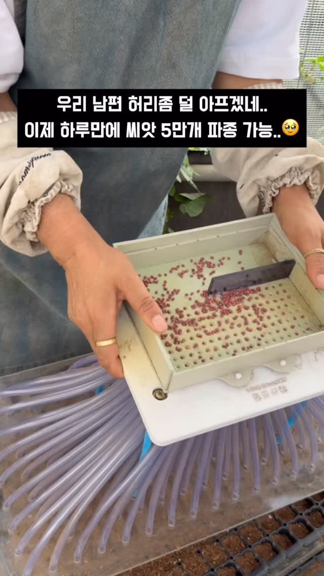 jeju_momsfarm 게시물 이미지: 이거 얼마 주고 샀냐면.. 

🤔아마 10년 전쯤이었을 거예요.
작고 소박해 보이는...