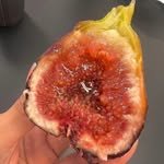 brix_kim18 프로필 사진