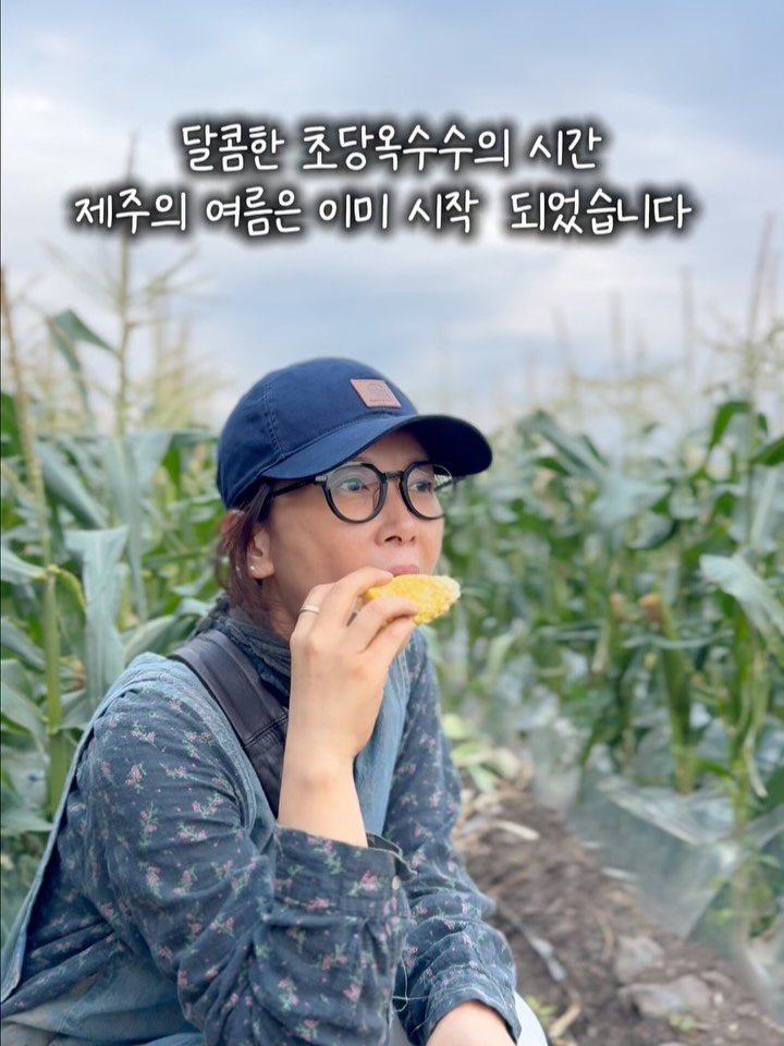 jeju_momsfarm 게시물 이미지: 봄이 오기도 전에,
제주 초당옥수수농부의 마음은 
이미 노란빛으로 물들어...