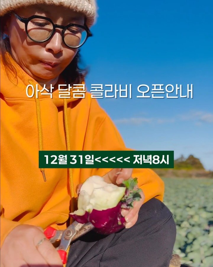 jeju_momsfarm 게시물 이미지: 2025년의 마지막 시간,
잘 보내고 계신가요?

한 해의 끝에 서면
괜히 마음이...