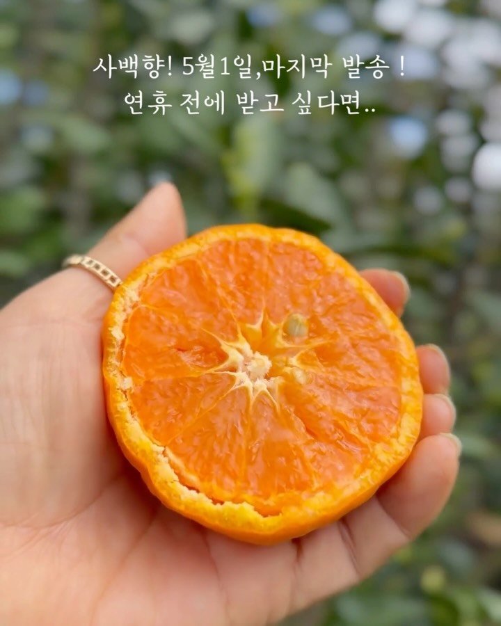 jeju_momsfarm 게시물 이미지: 아휴, 어쩌지요.🤣🤣

4월 30일이 마지막인 줄 알고 
오전에 급히...